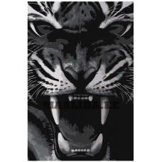 Maalid numbrite järgi Z-AB296