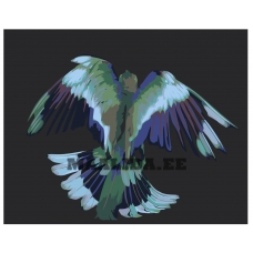 Maalid numbrite järgi Z-AB297