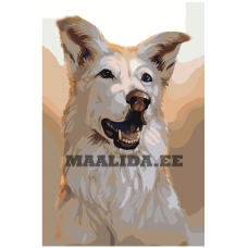 Maalid numbrite järgi Z-AB2