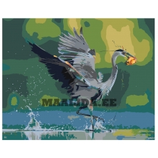 Maalid numbrite järgi Z-AB300