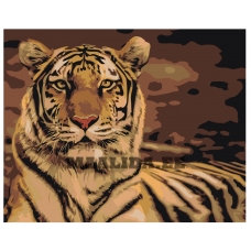 Maalid numbrite järgi Z-AB302