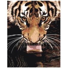 Maalid numbrite järgi Z-AB303