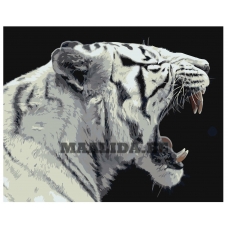 Maalid numbrite järgi Z-AB304