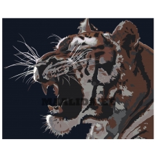 Maalid numbrite järgi Z-AB305