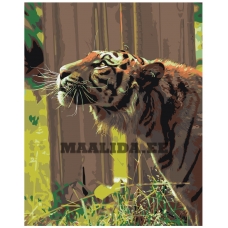 Maalid numbrite järgi Z-AB306