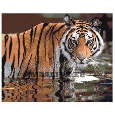 Maalid numbrite järgi Z-AB307