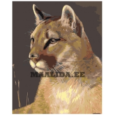 Maalid numbrite järgi Z-AB30