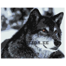 Maalid numbrite järgi Z-AB310