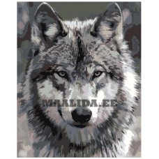 Maalid numbrite järgi Z-AB312