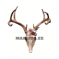 Maalid numbrite järgi Z-AB313