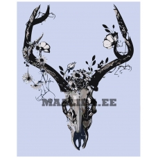 Maalid numbrite järgi Z-AB314