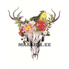 Maalid numbrite järgi Z-AB317