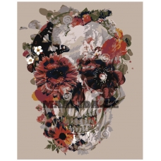 Maalid numbrite järgi Z-AB320