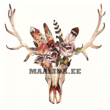 Maalid numbrite järgi Z-AB323