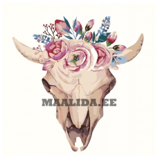 Maalid numbrite järgi Z-AB325