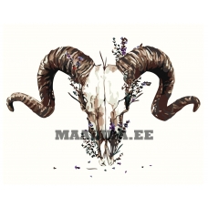 Maalid numbrite järgi Z-AB329