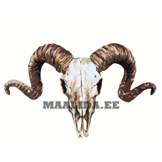 Maalid numbrite järgi Z-AB330