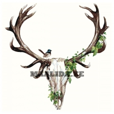 Maalid numbrite järgi Z-AB331