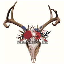 Maalid numbrite järgi Z-AB337