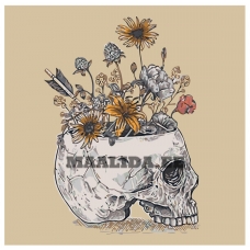 Maalid numbrite järgi Z-AB339