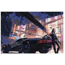 Maalid numbrite järgi Z-AB343