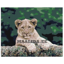 Maalid numbrite järgi Z-AB367