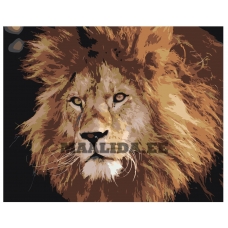 Maalid numbrite järgi Z-AB368