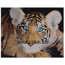 Maalid numbrite järgi Z-AB369