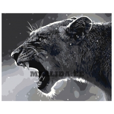 Maalid numbrite järgi Z-AB371