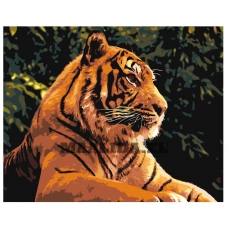 Maalid numbrite järgi Z-AB372