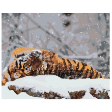 Maalid numbrite järgi Z-AB375