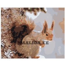 Maalid numbrite järgi Z-AB376