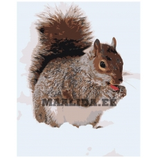 Maalid numbrite järgi Z-AB377