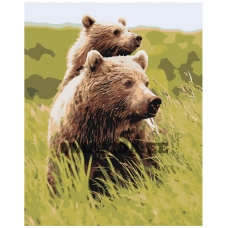 Maalid numbrite järgi Z-AB378