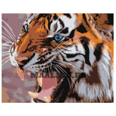 Maalid numbrite järgi Z-AB380