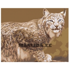 Maalid numbrite järgi Z-AB382