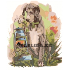 Maalid numbrite järgi Z-AB38