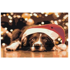 Maalid numbrite järgi Z-AB417