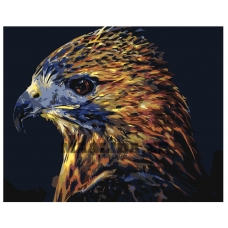 Maalid numbrite järgi Z-AB419