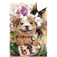 Maalid numbrite järgi Z-AB41