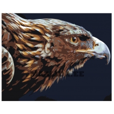 Maalid numbrite järgi Z-AB420