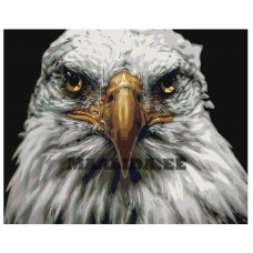 Maalid numbrite järgi Z-AB421