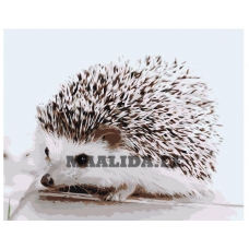 Maalid numbrite järgi Z-AB423