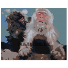 Maalid numbrite järgi Z-AB425