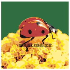 Maalid numbrite järgi Z-AB428