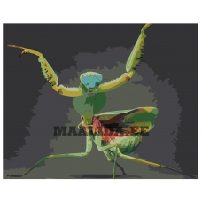 Maalid numbrite järgi Z-AB429