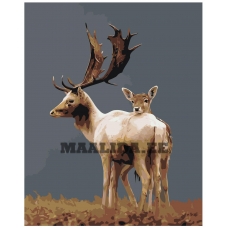 Maalid numbrite järgi Z-AB431