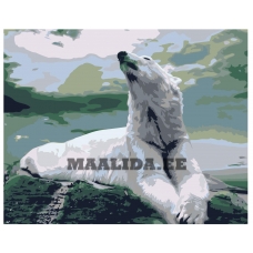 Maalid numbrite järgi Z-AB433