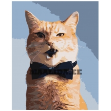 Maalid numbrite järgi Z-AB435