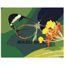 Maalid numbrite järgi Z-AB436